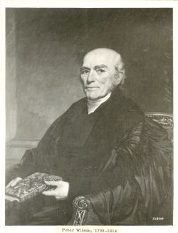 Peter Wilson